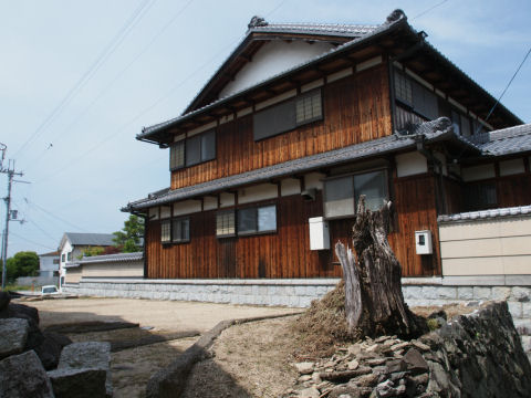 いまいちピンボケ