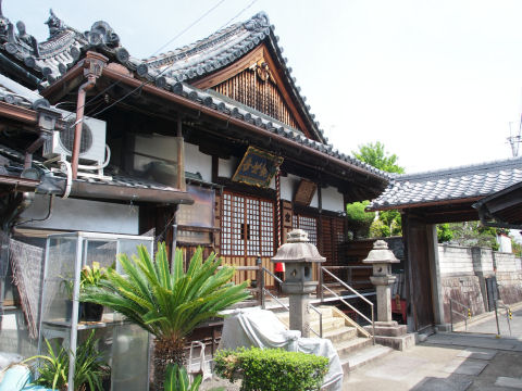 若干トロピカル