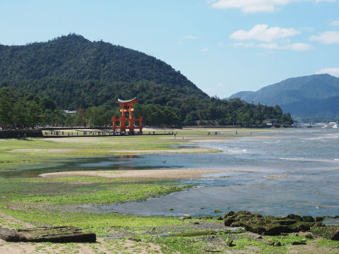 ちょっとした岩