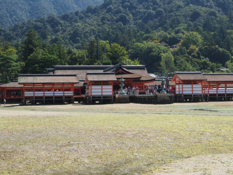海草がおいしそう
