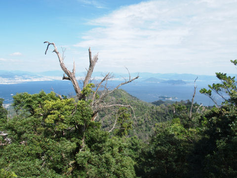 でっかい岩の横から
