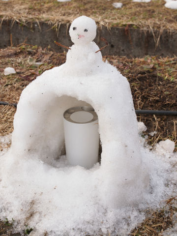 妙な顔の雪だるま