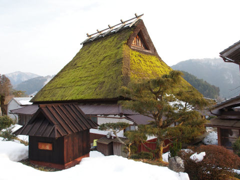 夕日が照らしてる