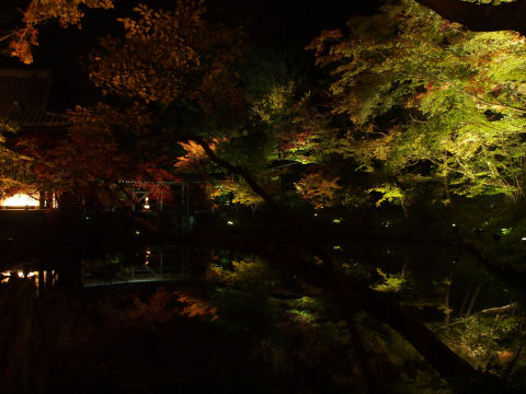 絵にも描けない美しさ