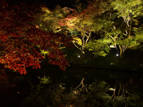 三脚使ってる人もいたが・・・よかったのだろうか