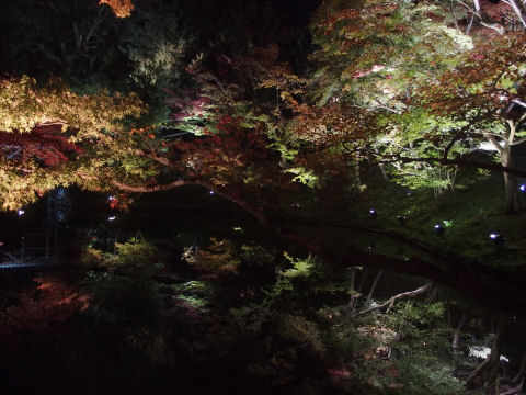 もっと広角欲しい