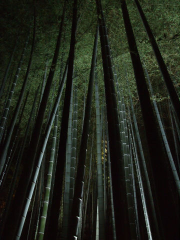 隠しコメント：醍醐寺は予約なくても入れてた