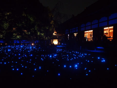 ここのみコンデジでの撮影