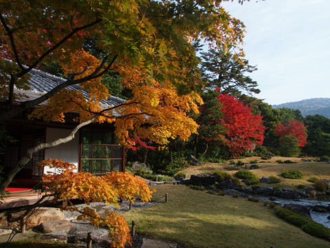 既に薄雲が出始めている
