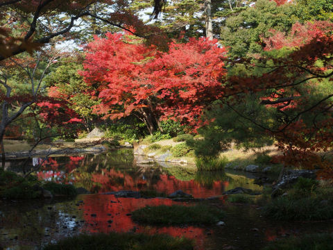 水面に映り込む＠昼