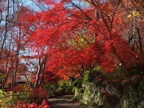 美術館までの道