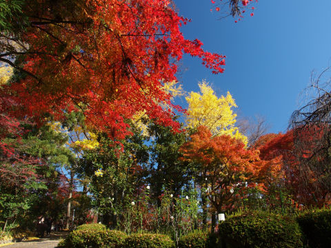 ロッカールームの前