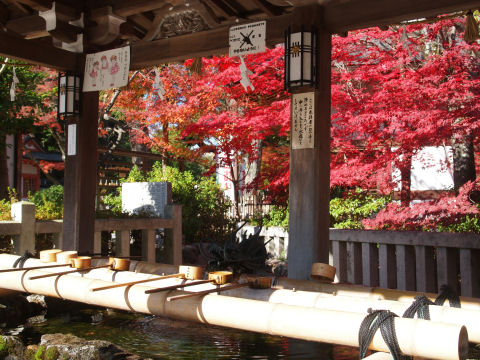 手水場越しの紅葉