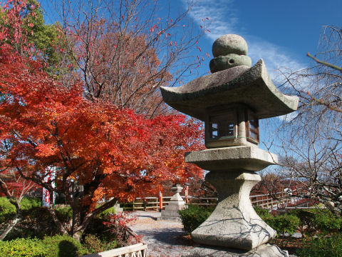 八畳が池の前の石灯籠