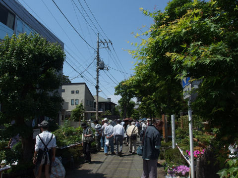 年齢層は高いがそれだけでもない