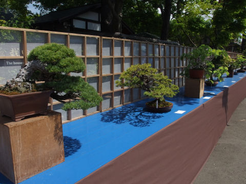 道路脇に並べられる