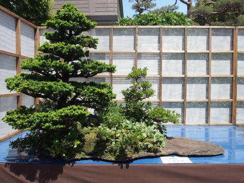 石も合わせて作品