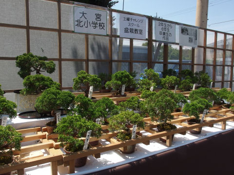 学校でできるなんてすばらしい