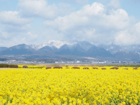 間違いさがし状態
