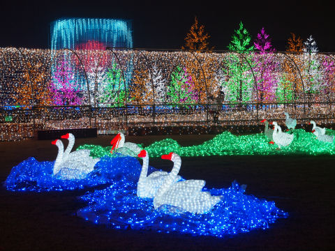 後ろに光のキューブ