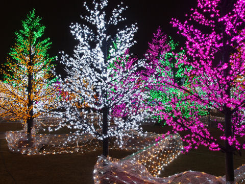 動物ゾーンとは逆側の樹木