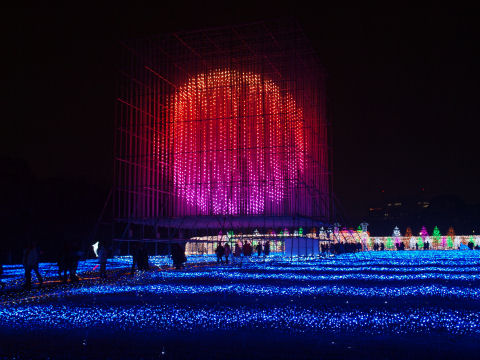 写真は赤だけだけど