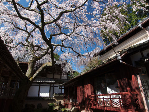 右下の人影は絵画