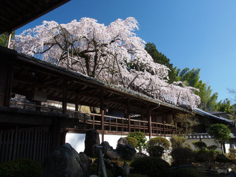 もっと引きの絵があってもよかった