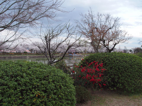 コンデジ持って行ったけど一眼レフ持っていっても良かったかも