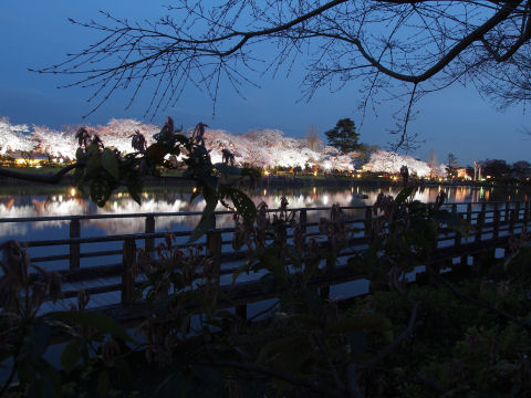 黄昏時の空はいい感じだが