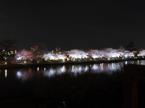 会社のビルが見える