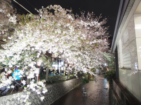 緑が見え始めてるか