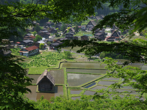 ほんのちょっとアングル変えて