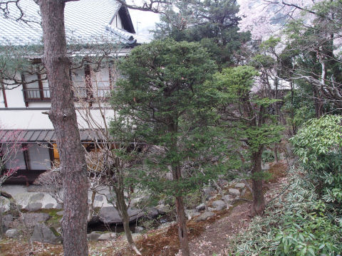 柵とか合ってあんまり見えないけど