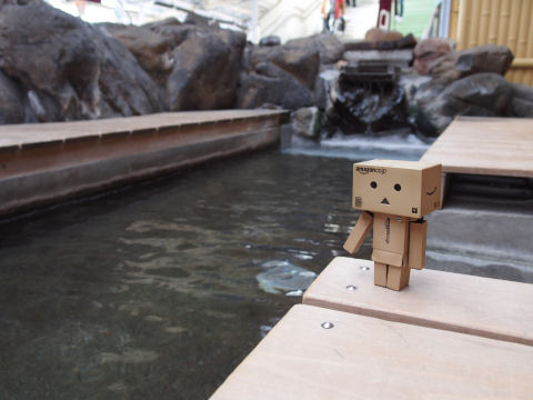 ここでダンボー