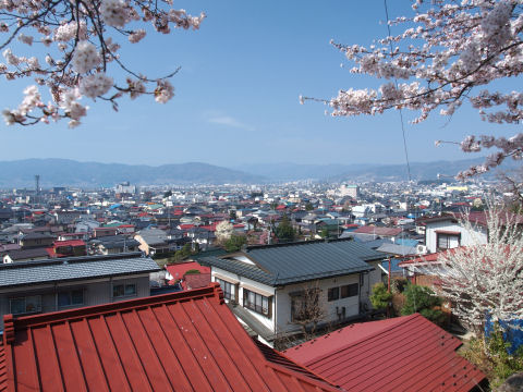 桜を入れた展望