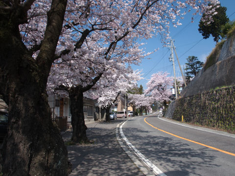 散歩に持ってこい