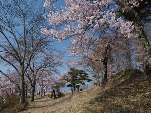 人はいなかった