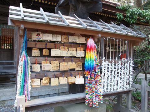 すわこがチラリ