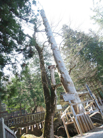 カメラを地面スレスレにして撮影