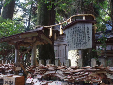 よくある2本の杉