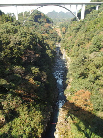 影がバッチリ写ってる