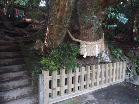 水はすくえた 飲めるかは不明