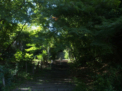 見えてるのが大体3分の1