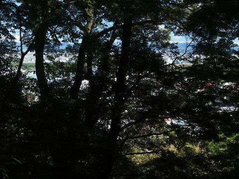 伐採したら人を集められるのでは