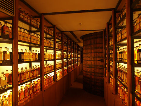 こちらも8年前と同じ構図