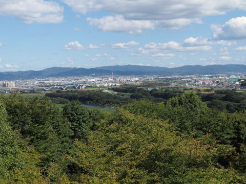三川合流の付近