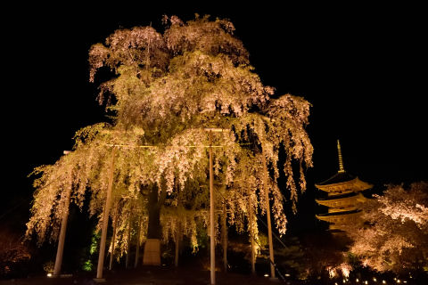 ホワイトバランス次第