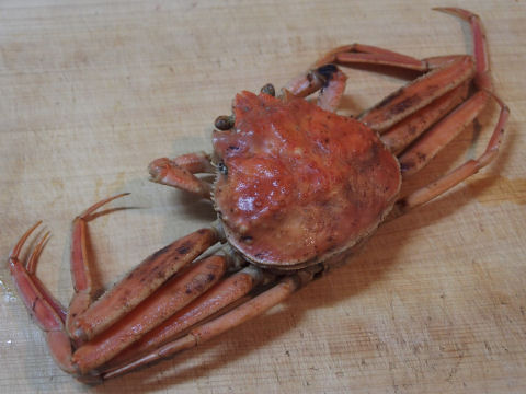 黒ずんでいるけど・・・