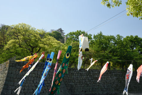 丸亀城が高いところに